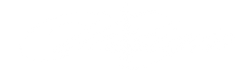 VESTIGIO CO